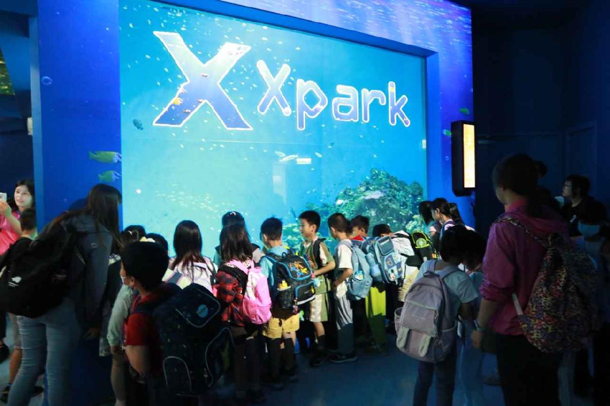 2025薇格美語探索夏令營『 Xpark奇遇藍精靈大冒險 』 2025薇格美語探索夏令營『 Xpark奇遇藍精靈大冒險 』